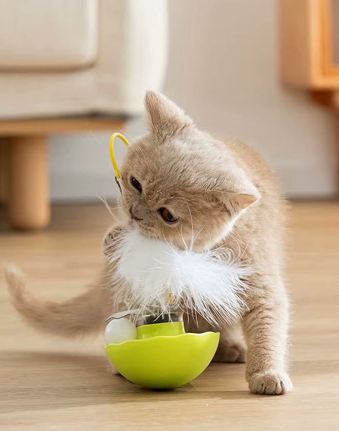 Kittify JumpTail™ [Free Today]