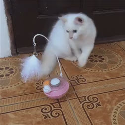 Kittify JumpTail™ [Free Today]